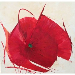 Petit coquelicot au couteau