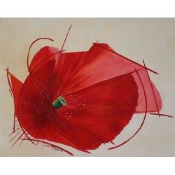 Petit coquelicot à la brosse