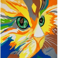 Chat coloré